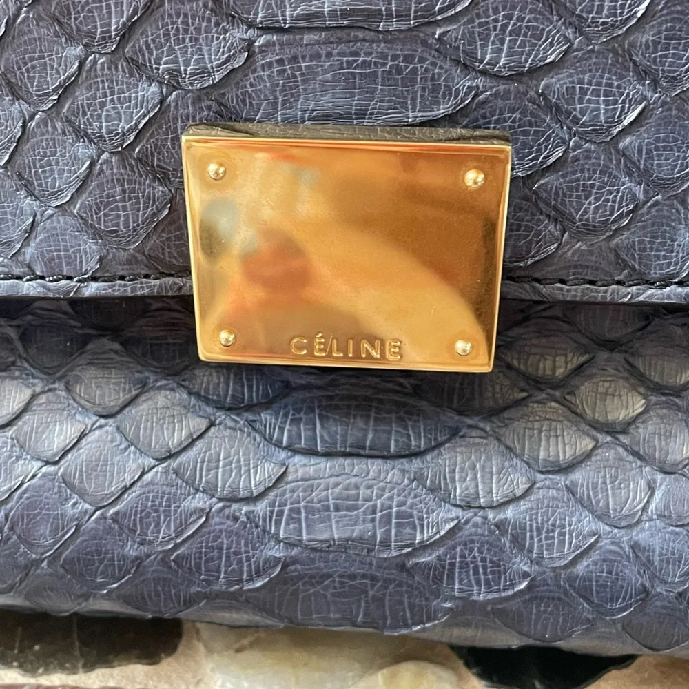 CÉLINE Python Trapeze Bag - Picture 2 of 8